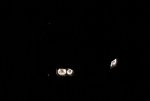 1371563_584493334941673_681165141_n.jpg
