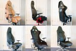 medium_racecharis.jpg
