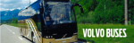 BannerInt_Home_Buses_02.png