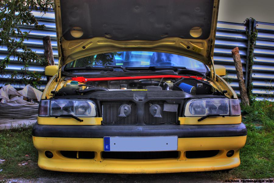 5093958615_25c64f1b85_b.jpg