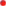 puntokindseinrojo.png
